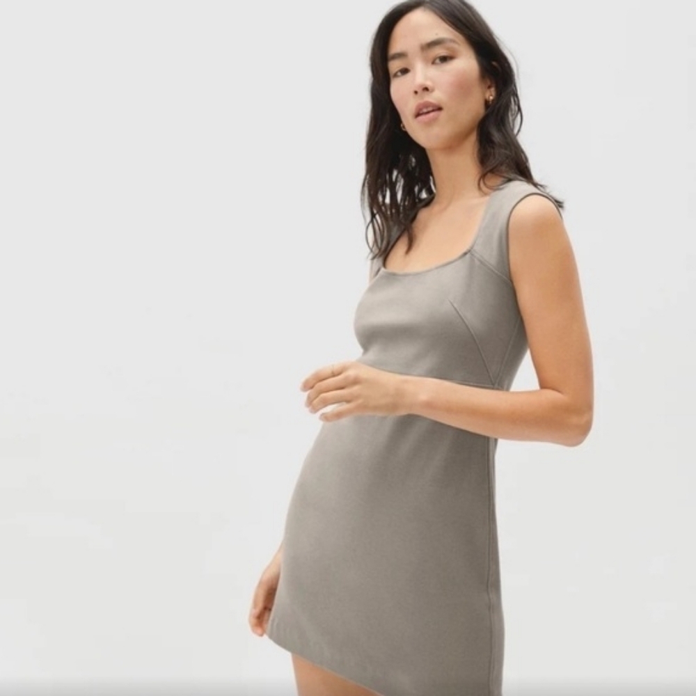 Everlane Taupe Dress